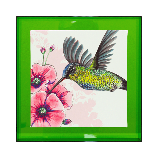 Birds of paradise 'Kolibrie'